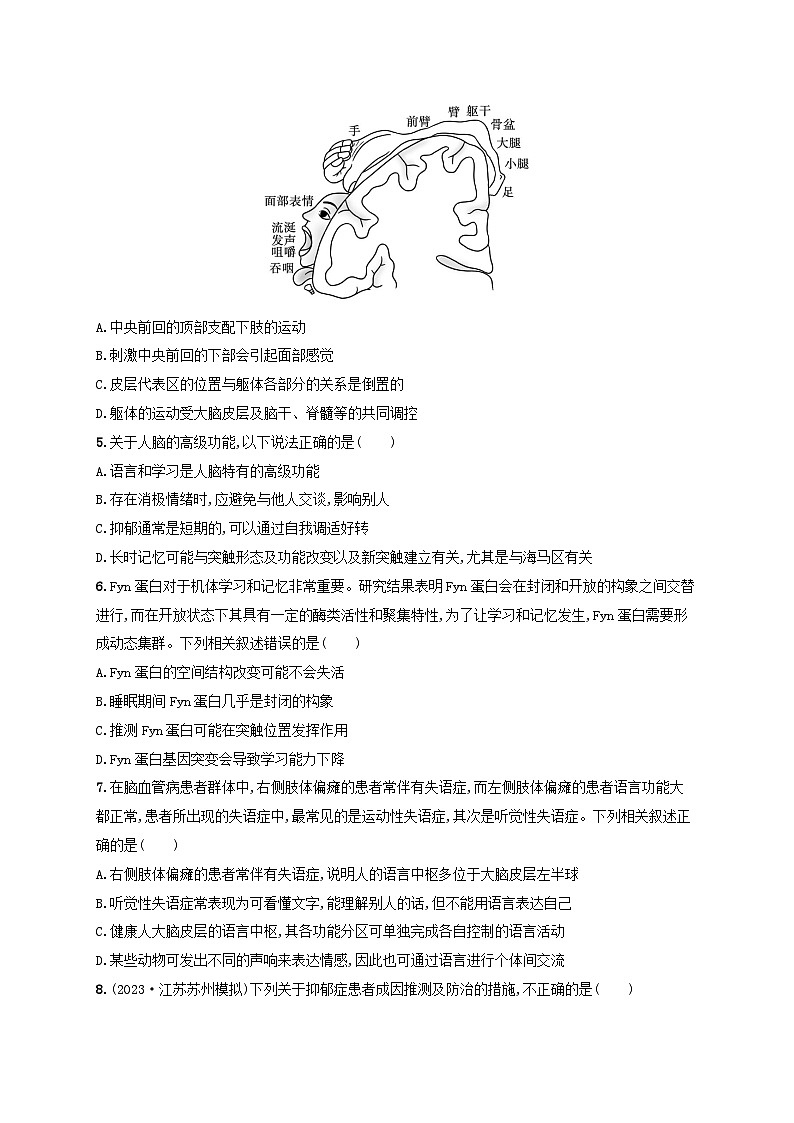 备战2025届高考生物一轮总复习第8单元稳态与调节课时规范练33神经系统的分级调节及人脑的高级功能第2页