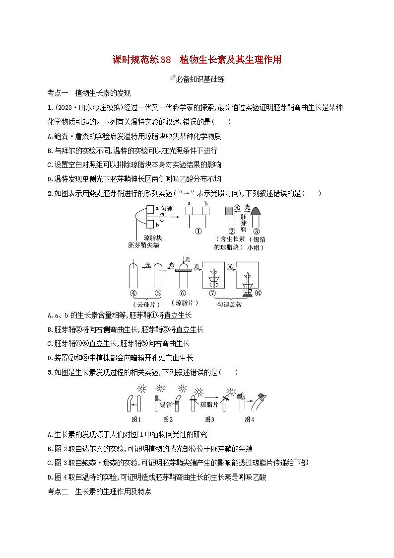 备战2025届高考生物一轮总复习第8单元稳态与调节课时规范练38植物生长素及其生理作用第1页