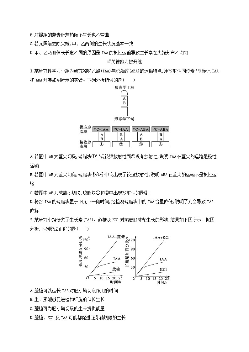 备战2025届高考生物一轮总复习第8单元稳态与调节课时规范练38植物生长素及其生理作用第3页