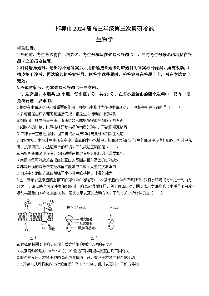 2024届河北省邯郸市高三第三次调研(一模)考试生物试题01