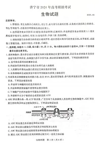 山东省济宁市2024届高三下学期3月一模考试 生物 PDF版含答案