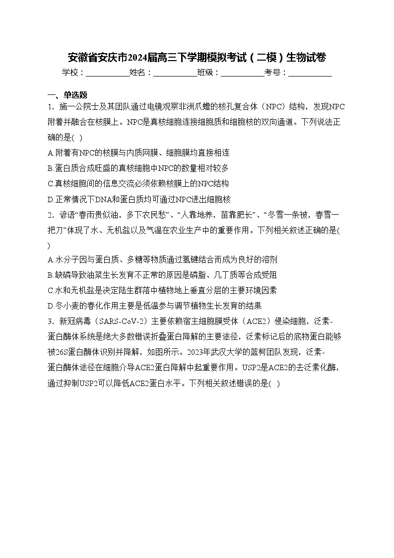 安徽省安庆市2024届高三下学期模拟考试(二模)生物试卷(含答案)01