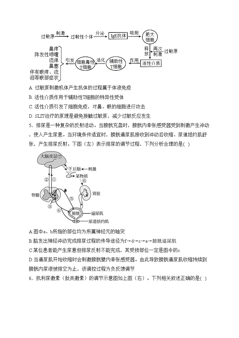 福建省福州第一中學(xué)2023-2024學(xué)年高二上學(xué)期第二學(xué)段模塊考試（期末考試）生物試卷(含答案)第2頁