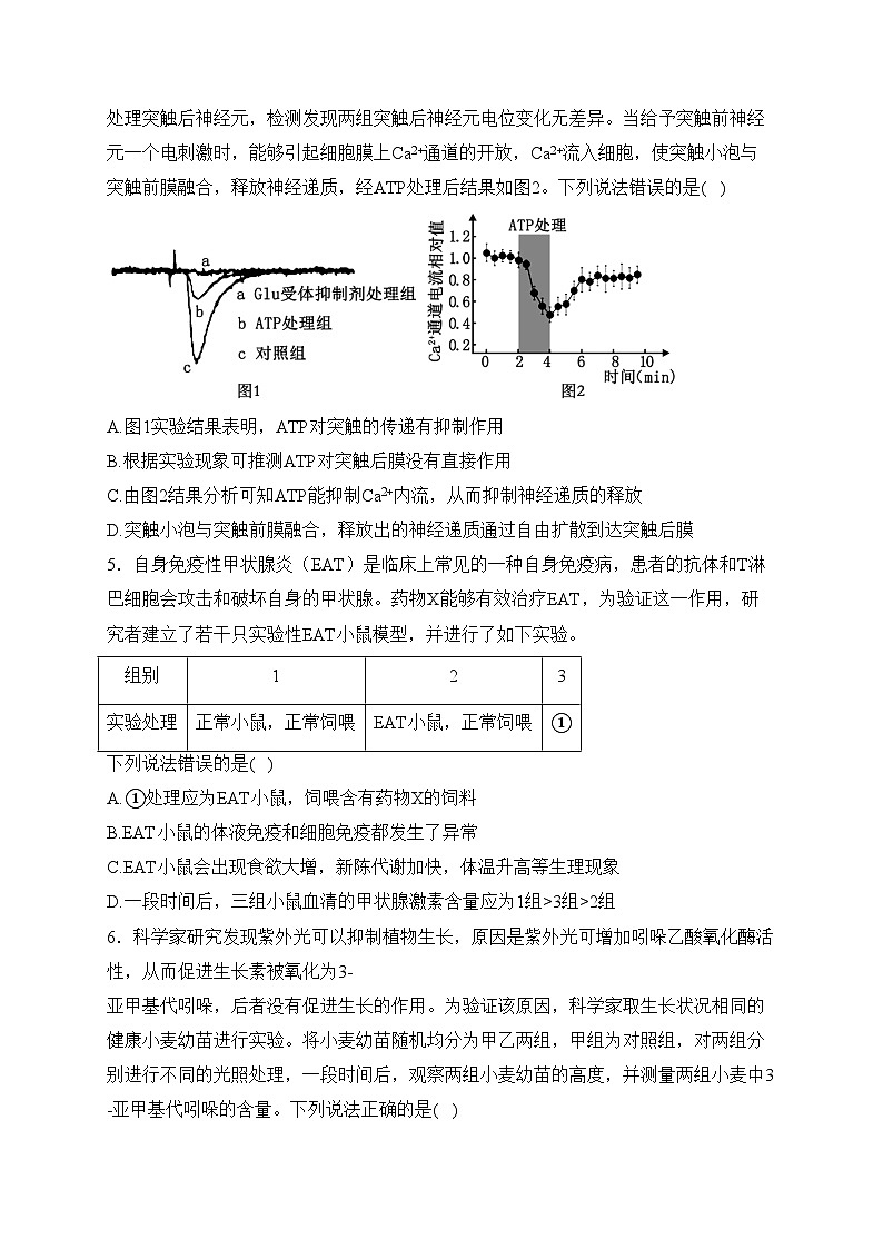 辽宁省名校2023-2024学年高二下学期3月联合考试生物试卷(含答案)第2页