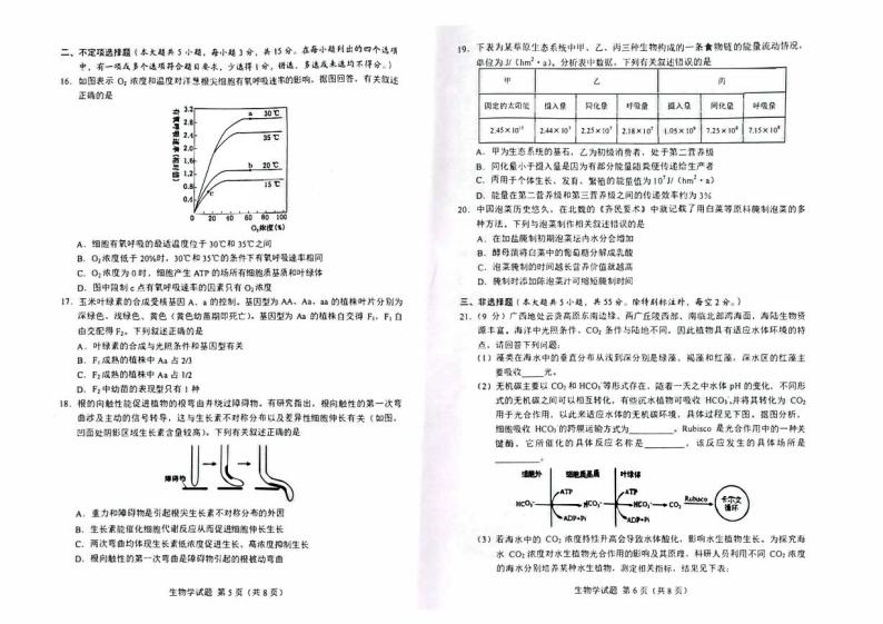 广西省南宁柳州2023_2024高三生物上学期第一次适应性考试试题03