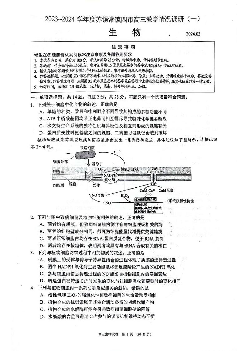 2024届江苏省苏锡常镇四市高三下学期教学情况调研(一)生物试题01