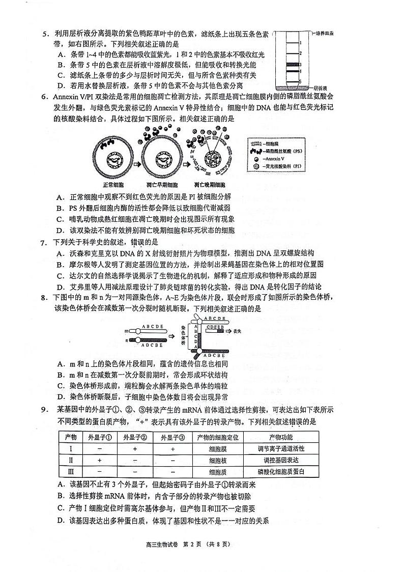 2024届江苏省苏锡常镇四市高三下学期教学情况调研(一)生物试题02