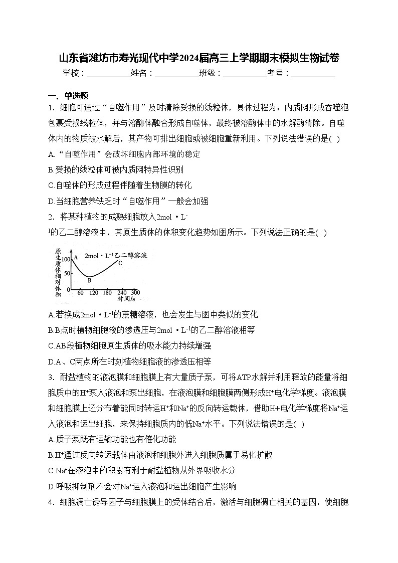山东省潍坊市寿光现代中学2024届高三上学期期末模拟生物试卷(含答案)01