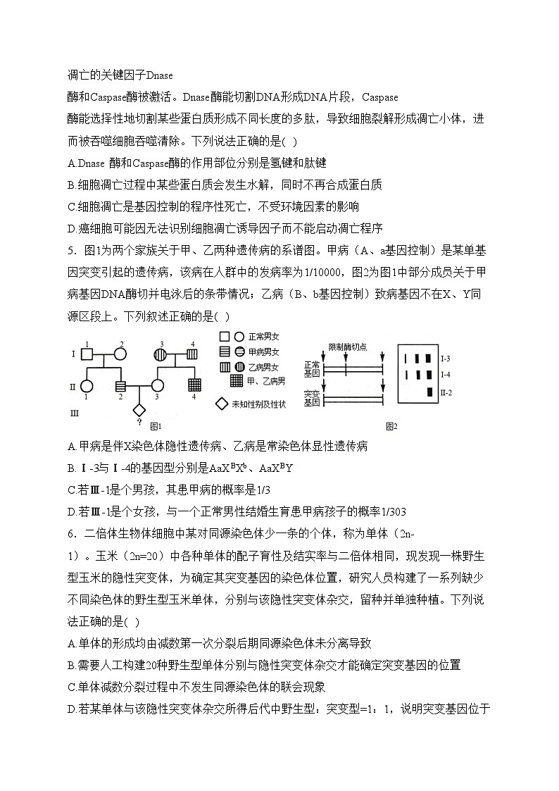 山东省潍坊市寿光现代中学2024届高三上学期期末模拟生物试卷(含答案)02