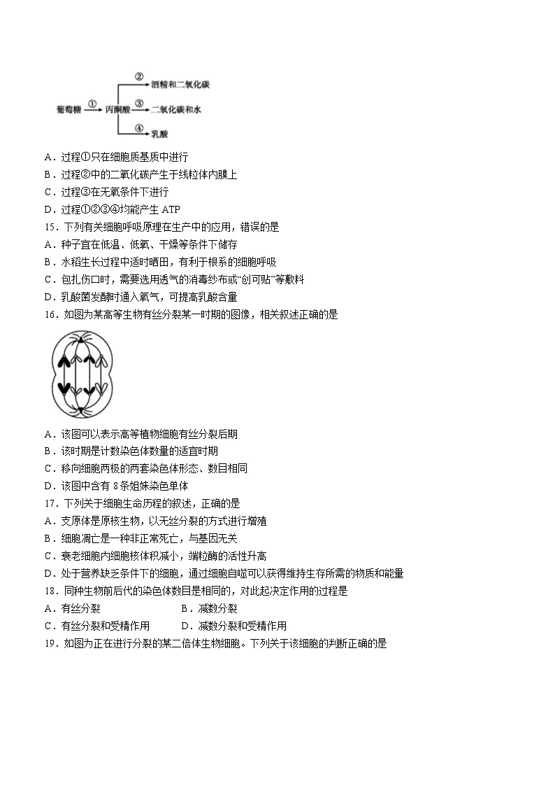 2024年江苏省普通高中学业水平合格性考试调研生物学试题03