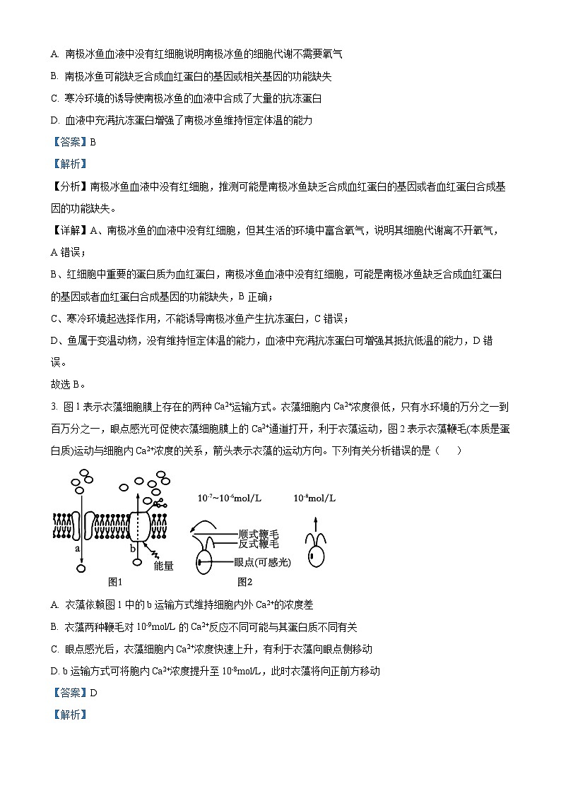 2024届河北省邯郸市高三第三次调研(一模)考试生物试题(原卷版+解析版)02