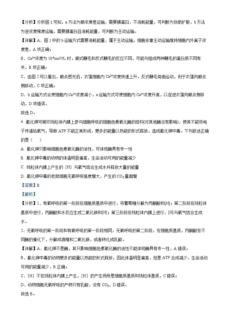 2024届河北省邯郸市高三第三次调研(一模)考试生物试题(原卷版+解析版)03