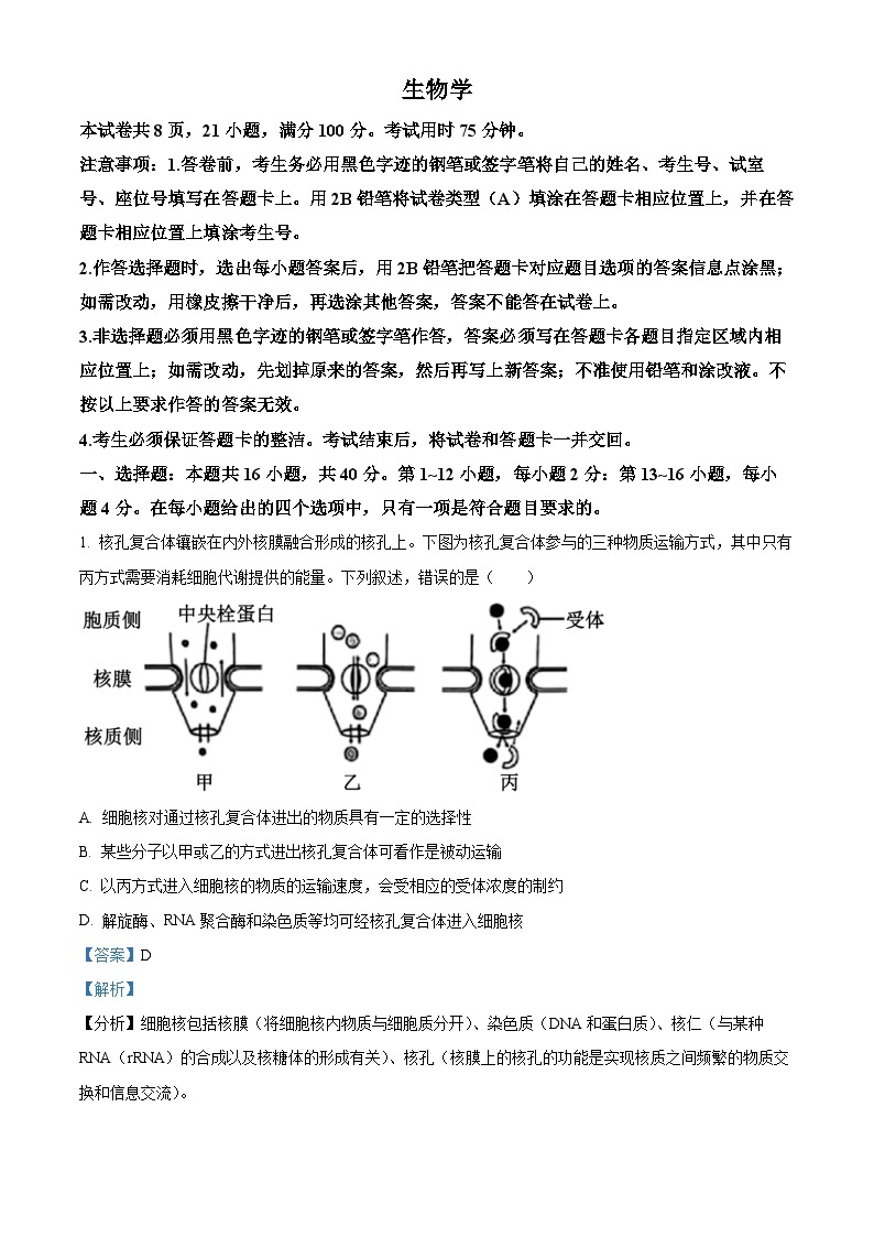 广东省广州市2024届高三下学期一模考试生物试题（原卷版+解析版）01