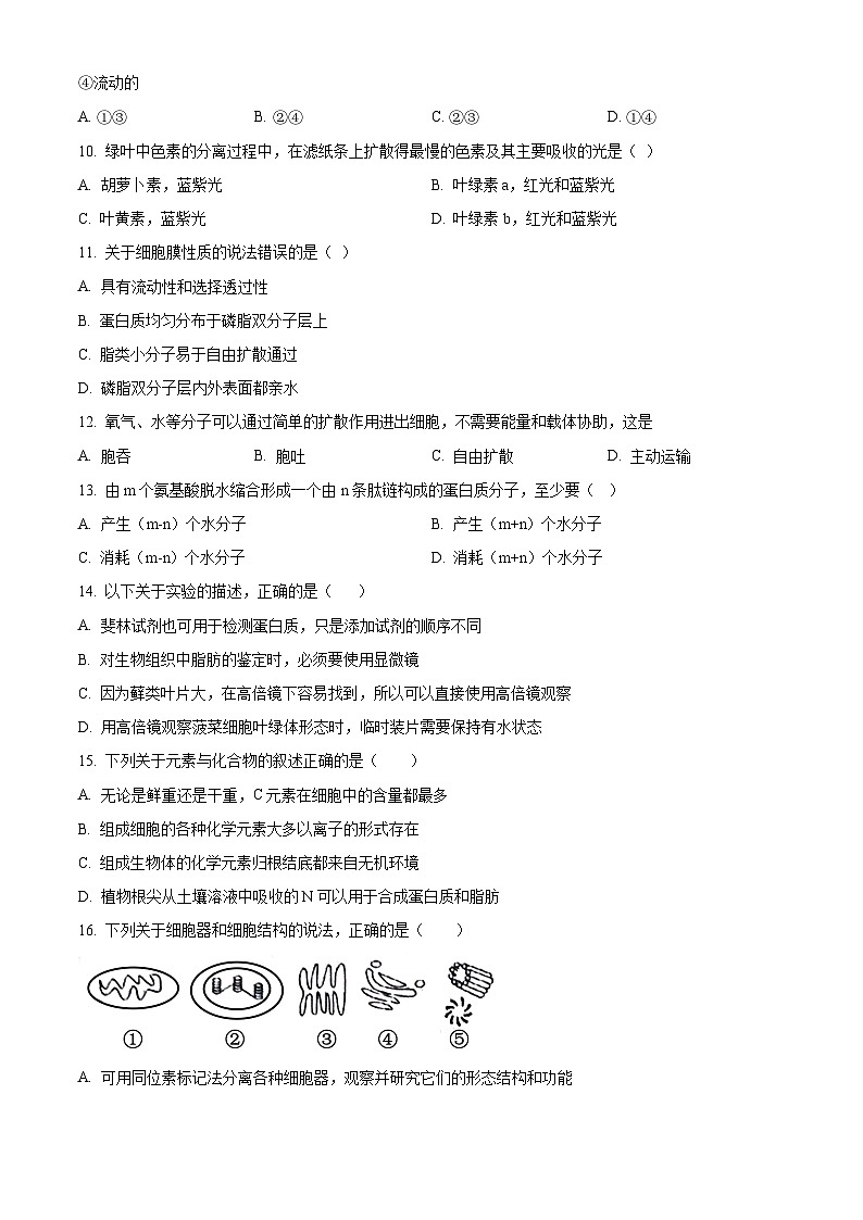 甘肃省兰州市第五十五中学2023-2024学年高一下学期开学测试生物试卷(Word版含解析)第2页