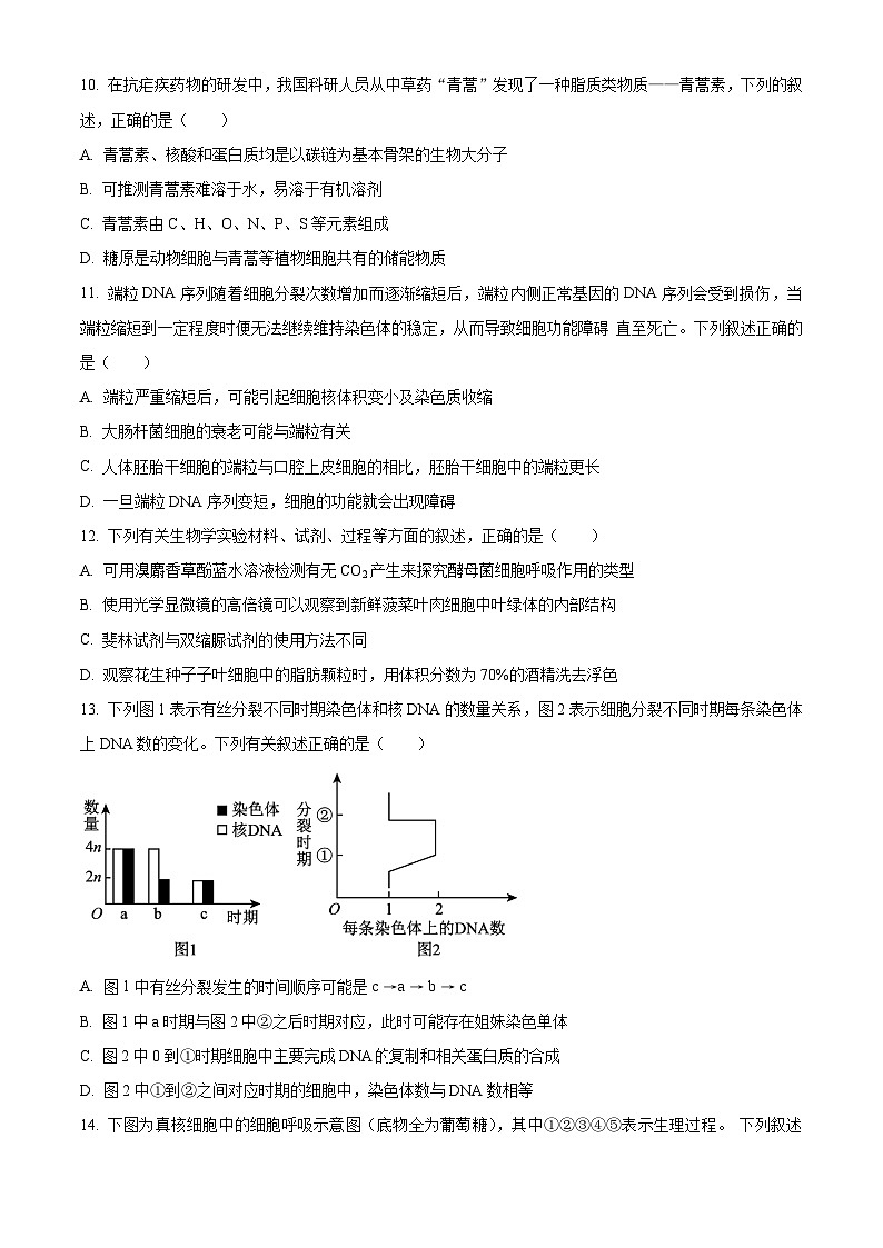 广西示范性高中2023-2024学年高一下学期3月调研测试生物试卷(Word版含解析)03