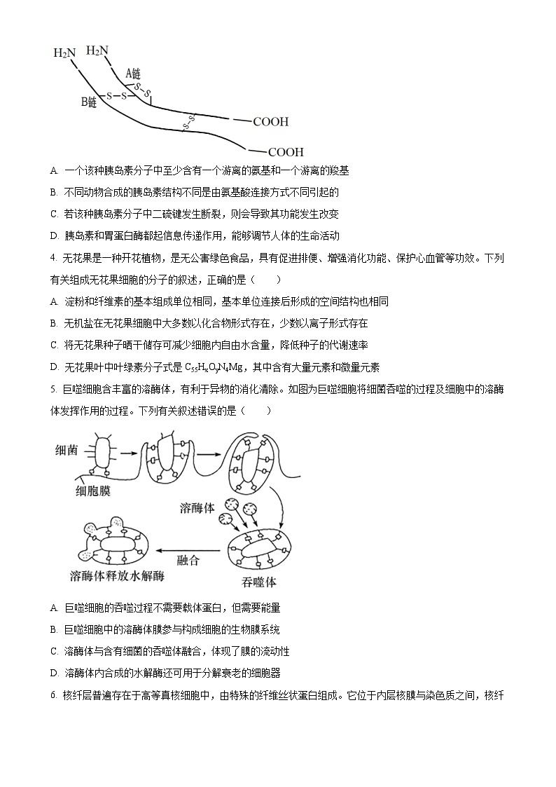 辽宁省本溪市第一中学2023-2024学年高一下学期开学考试生物试卷（Word版含解析）02