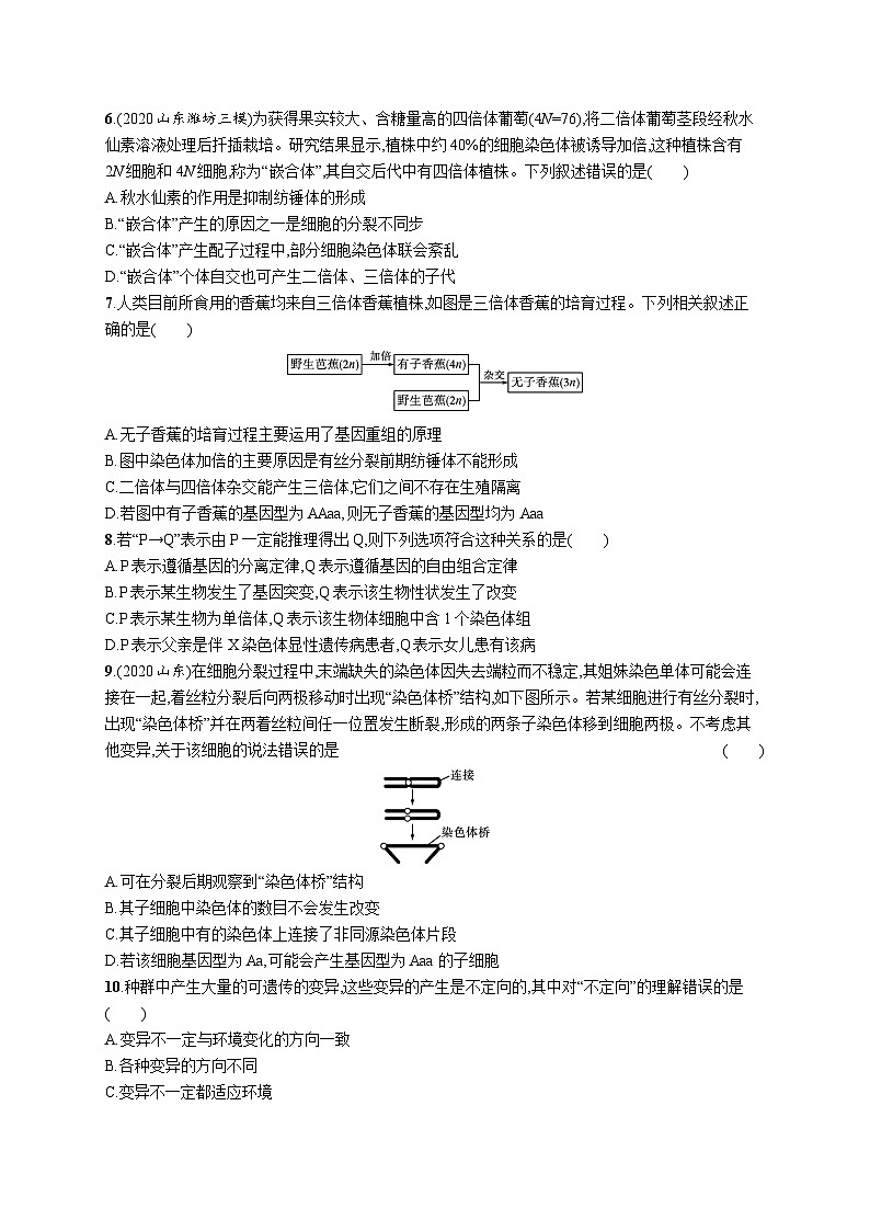 2025届高考生物一轮复习专项练习单元质检卷七生物的变异和进化(Word版附解析)第2页