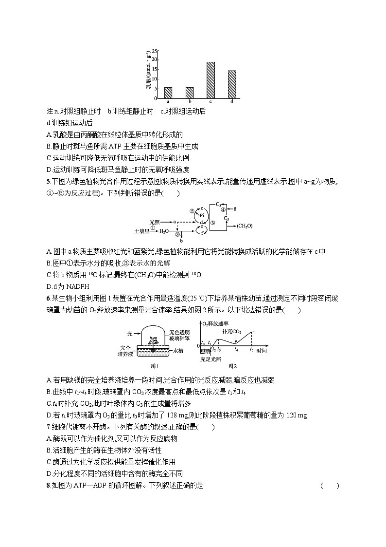 2025届高考生物一轮复习专项练习单元质检卷三细胞的代谢(Word版附解析)第2页