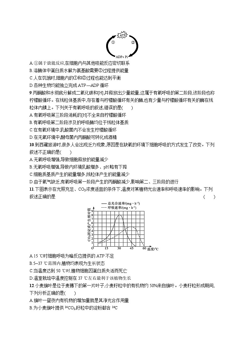 2025届高考生物一轮复习专项练习单元质检卷三细胞的代谢(Word版附解析)第3页