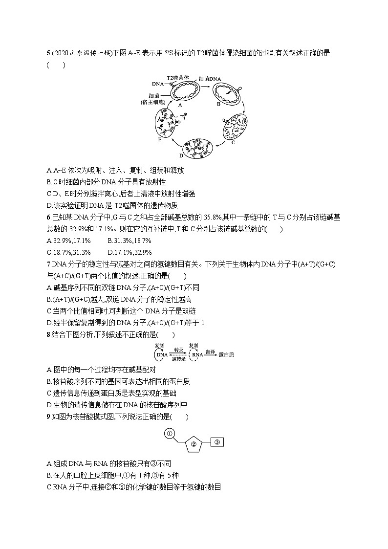 2025届高考生物一轮复习专项练习单元质检卷五遗传的分子基础(Word版附解析)第2页