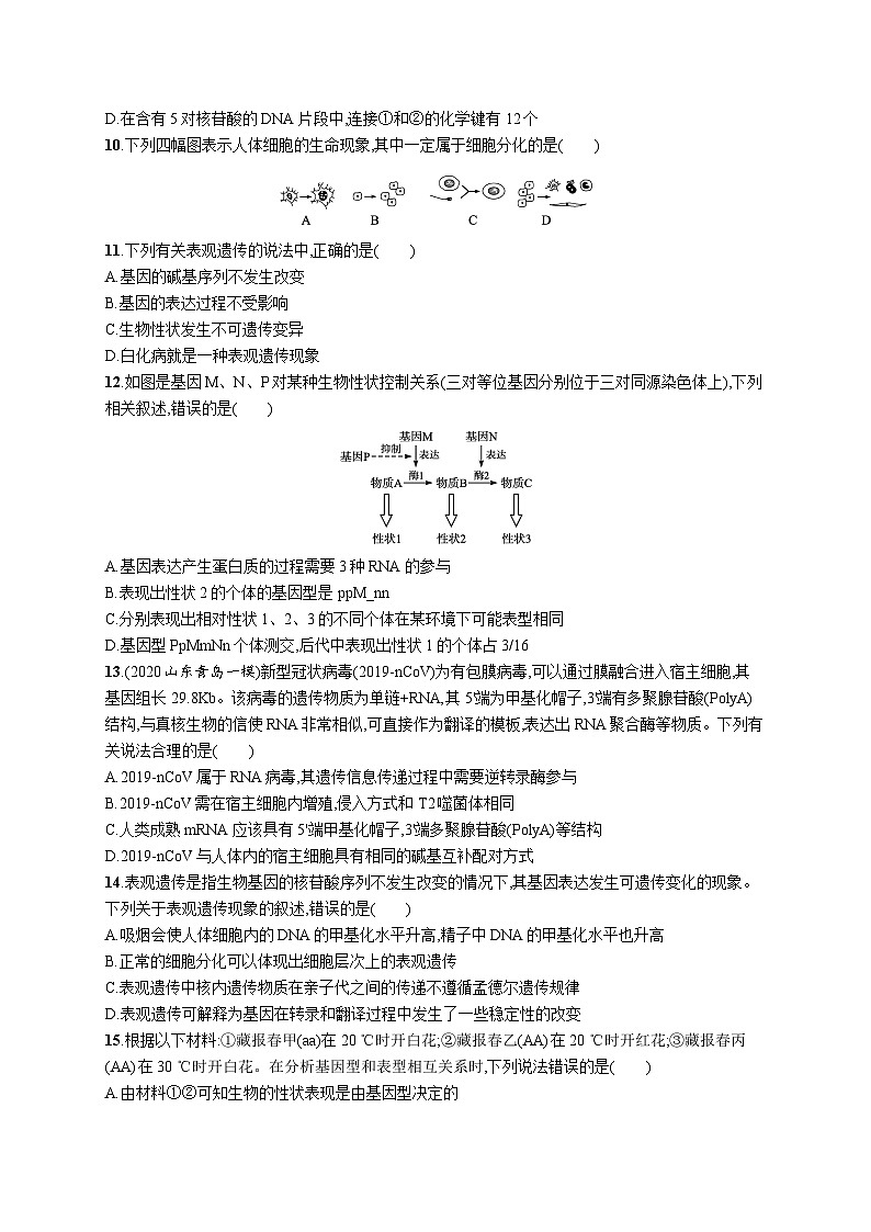 2025届高考生物一轮复习专项练习单元质检卷五遗传的分子基础(Word版附解析)第3页