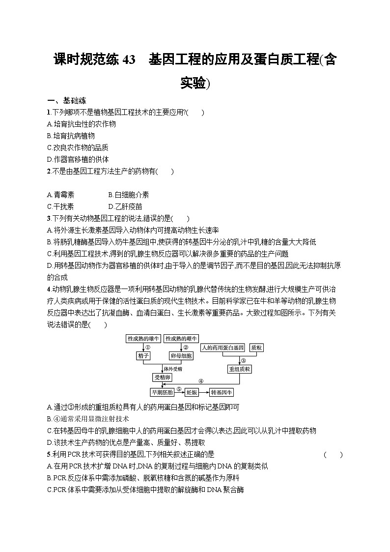 2025屆高考生物一輪復(fù)習(xí)專項(xiàng)練習(xí)課時(shí)規(guī)范練43基因工程的應(yīng)用及蛋白質(zhì)工程（含實(shí)驗(yàn)）（Word版附解析）第1頁(yè)