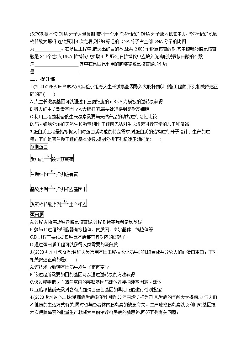 2025屆高考生物一輪復(fù)習(xí)專項(xiàng)練習(xí)課時(shí)規(guī)范練43基因工程的應(yīng)用及蛋白質(zhì)工程（含實(shí)驗(yàn)）（Word版附解析）第3頁(yè)