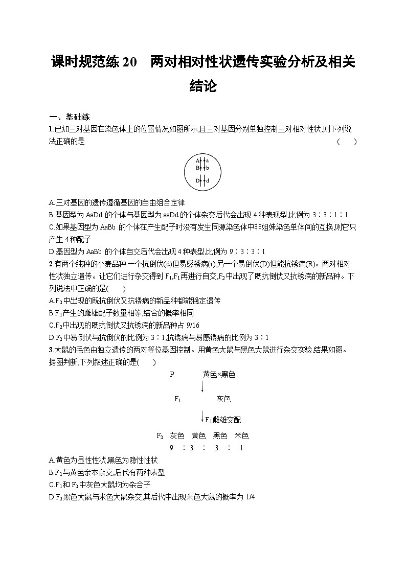 2025届高考生物一轮复习专项练习课时规范练20两对相对性状遗传实验分析及相关结论(Word版附解析)01