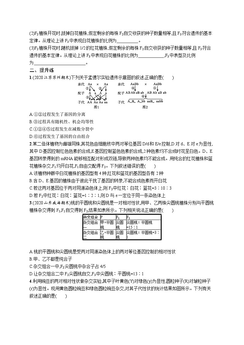 2025届高考生物一轮复习专项练习课时规范练20两对相对性状遗传实验分析及相关结论(Word版附解析)03