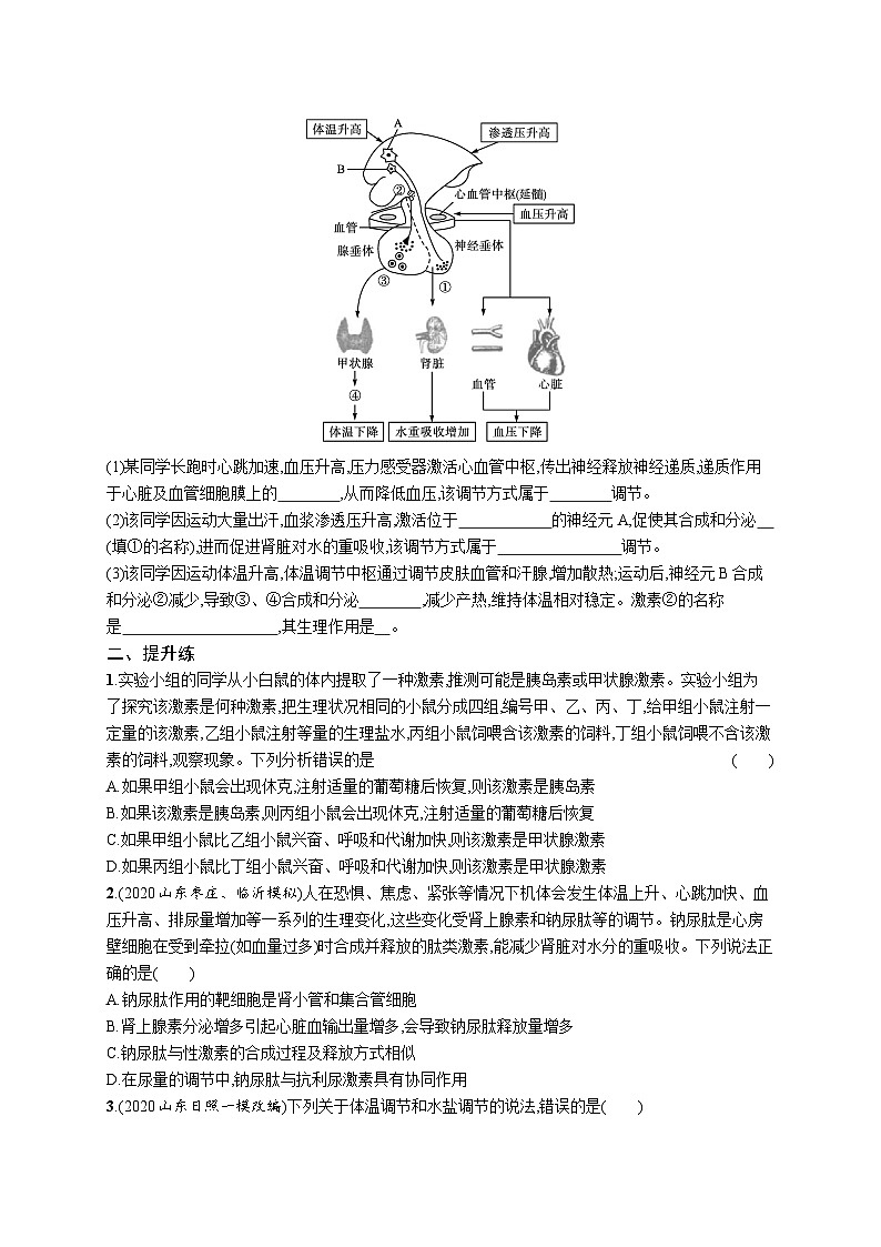 2025届高考生物一轮复习专项练习课时规范练28体液调节(Word版附解析)第3页