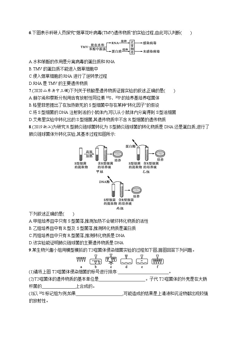2025届高考生物一轮复习专项练习课时规范练15DNA是主要的遗传物质(Word版附解析)第2页