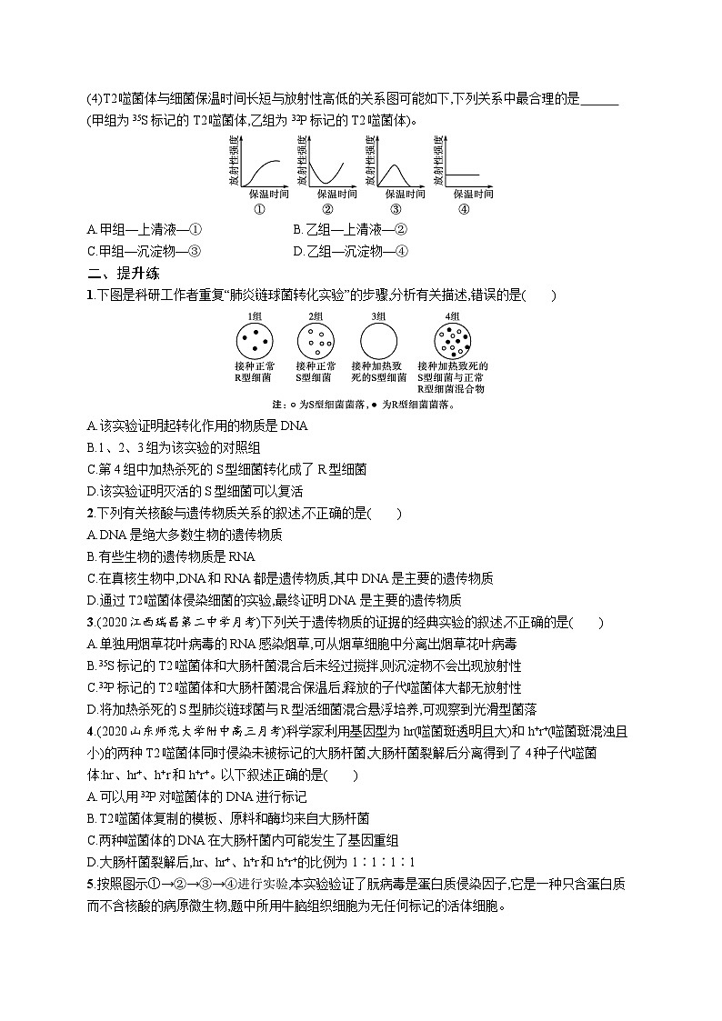 2025届高考生物一轮复习专项练习课时规范练15DNA是主要的遗传物质(Word版附解析)第3页