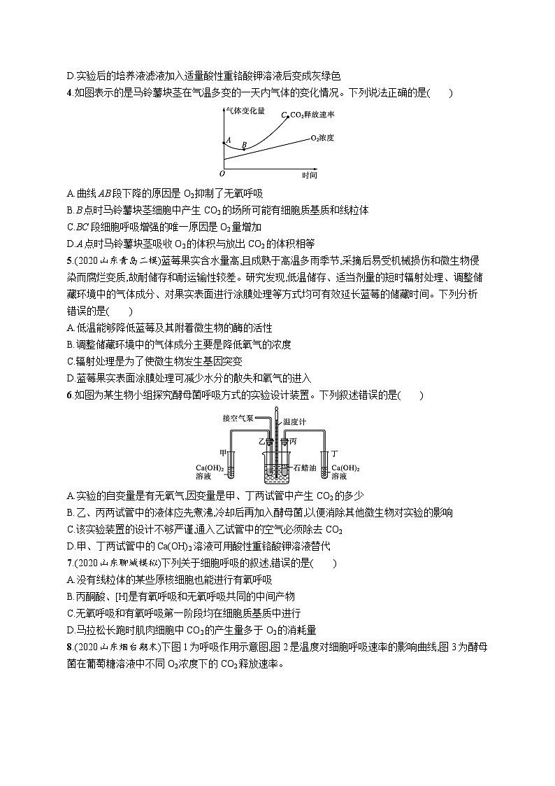 2025届高考生物一轮复习专项练习课时规范练9细胞呼吸的影响因素及应用探究酵母菌细胞呼吸的方式(Word版附解析)第2页