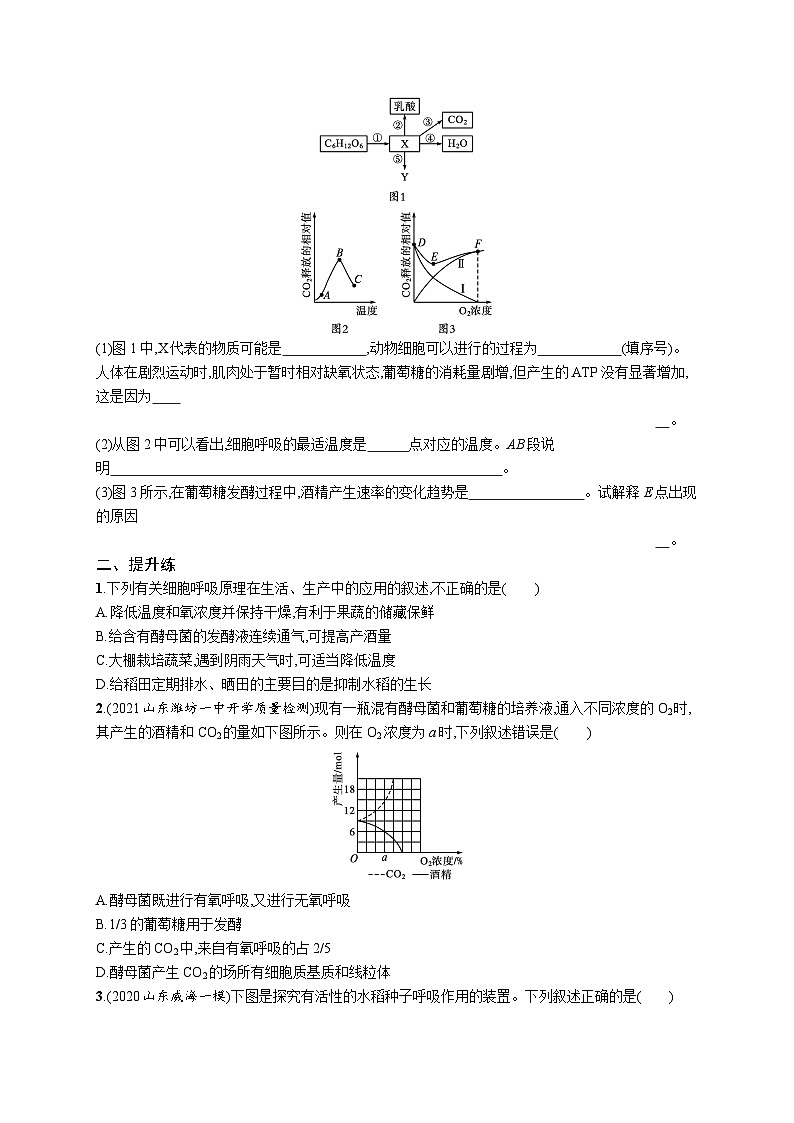 2025届高考生物一轮复习专项练习课时规范练9细胞呼吸的影响因素及应用探究酵母菌细胞呼吸的方式(Word版附解析)第3页