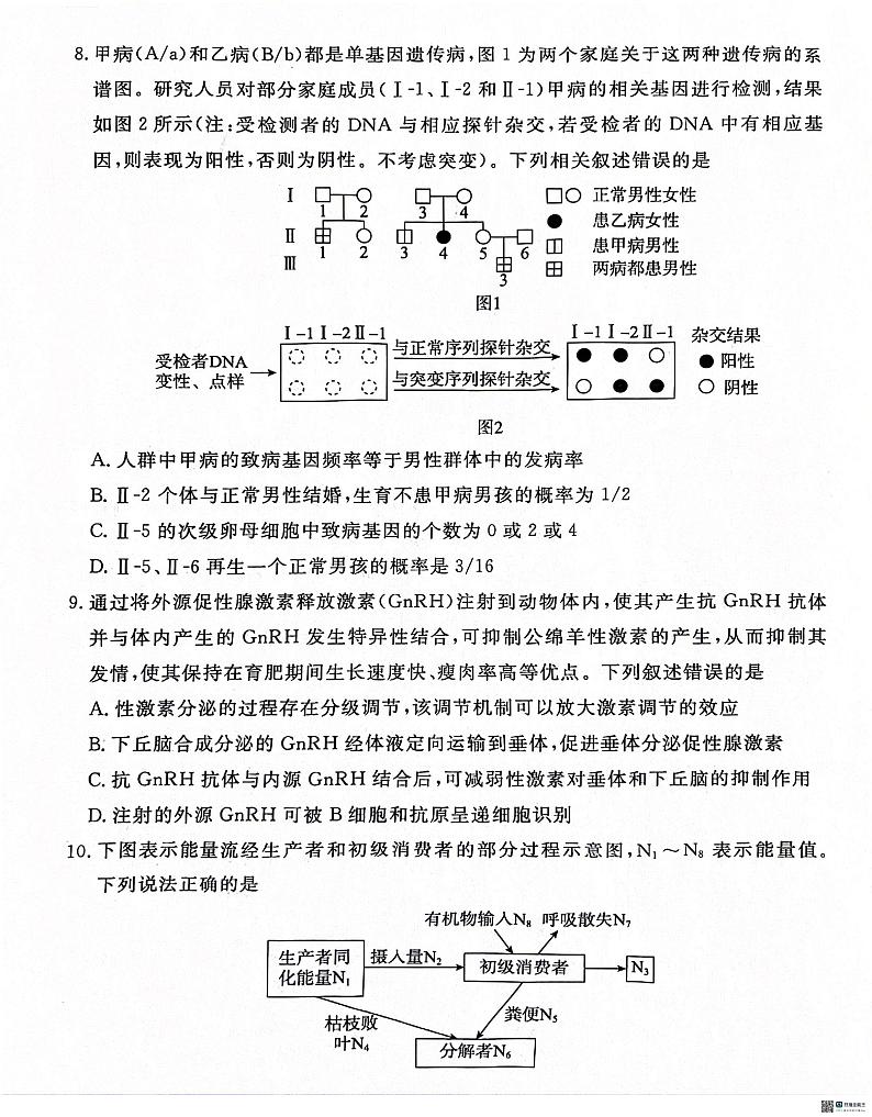 2024届河北省沧州市泊头市高三八县联考一模生物试题03