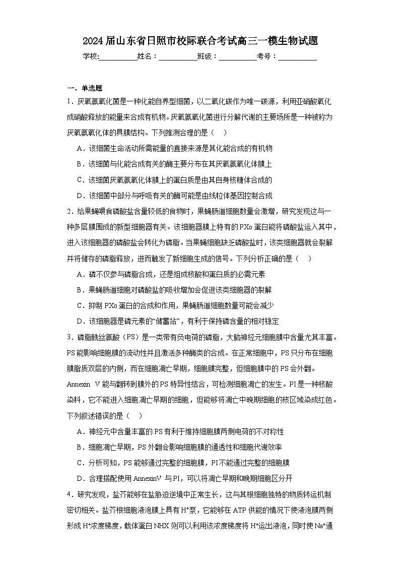 2024届山东省日照市校际联合考试高三一模生物试题第1页