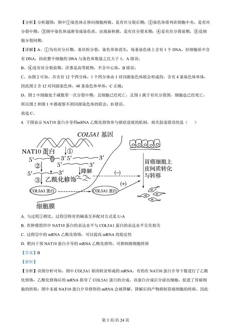 【生物答案】2024届江苏省宿迁市高三调研测试生物试题(解析版)第3页