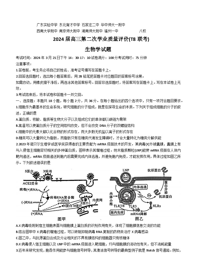 八省八校T8联考2024届高三第二次学业质量评价生物试卷(Word版附解析)01