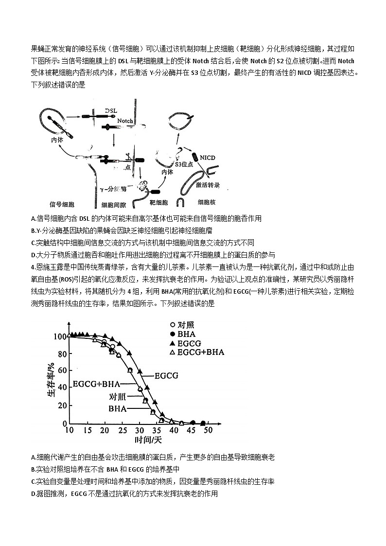 八省八校T8联考2024届高三第二次学业质量评价生物试卷(Word版附解析)02