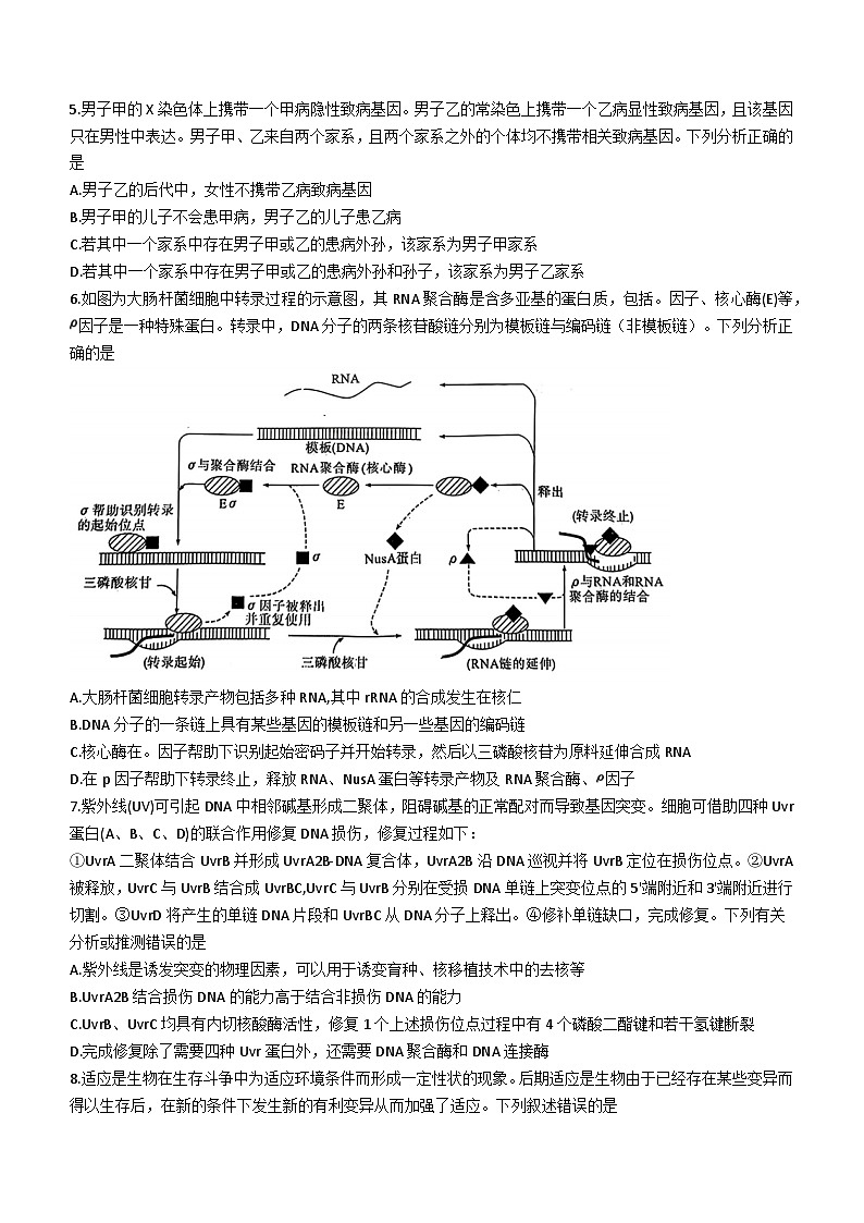 八省八校T8联考2024届高三第二次学业质量评价生物试卷(Word版附解析)03