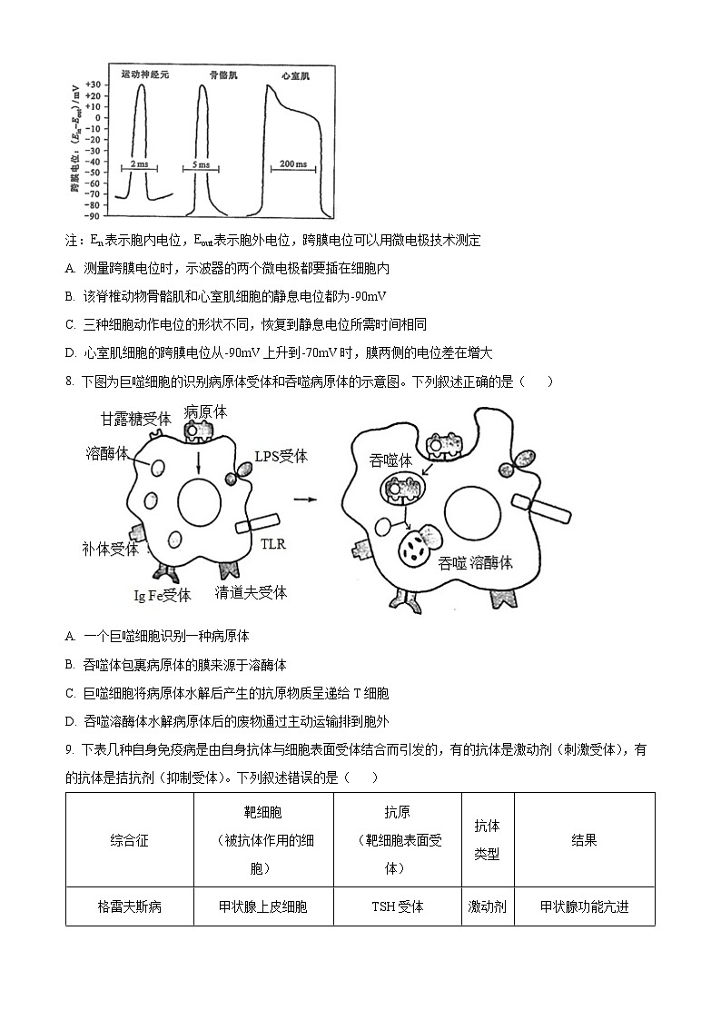 湖北省宜荆荆随恩2023-2024学年高二下学期3月联考生物试题(Word版附解析)03