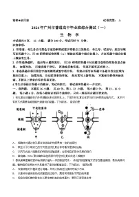 广东省广州市2024届普通高中毕业班高三下学期3月综合测试（一）生物试题含答