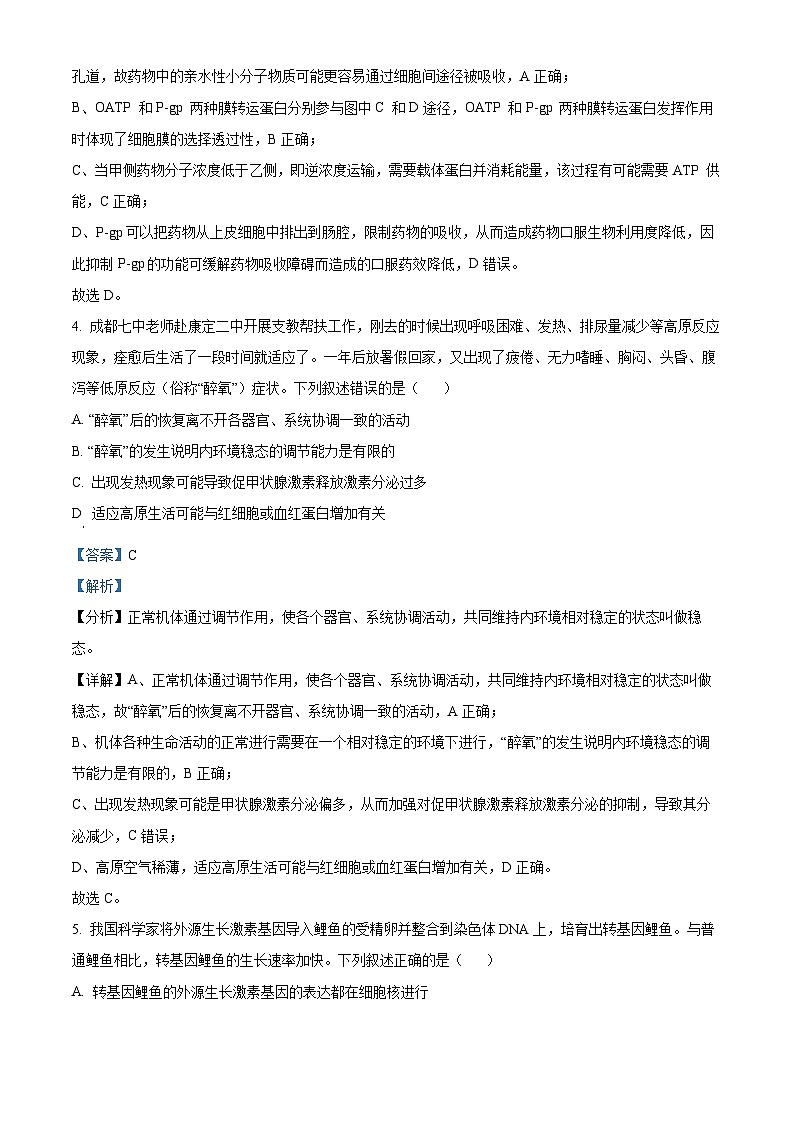 四川省成都市第七中学(林荫校区)2023-2024学年高三下学期二诊热身考试(3月15日)理综生物试题 Word版含解析第3页