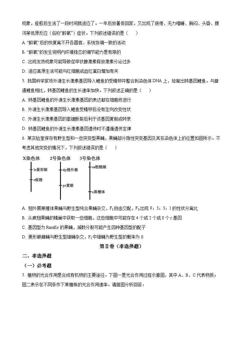四川省成都市第七中学(林荫校区)2023-2024学年高三下学期二诊热身考试(3月15日)理综生物试题 Word版无答案第2页