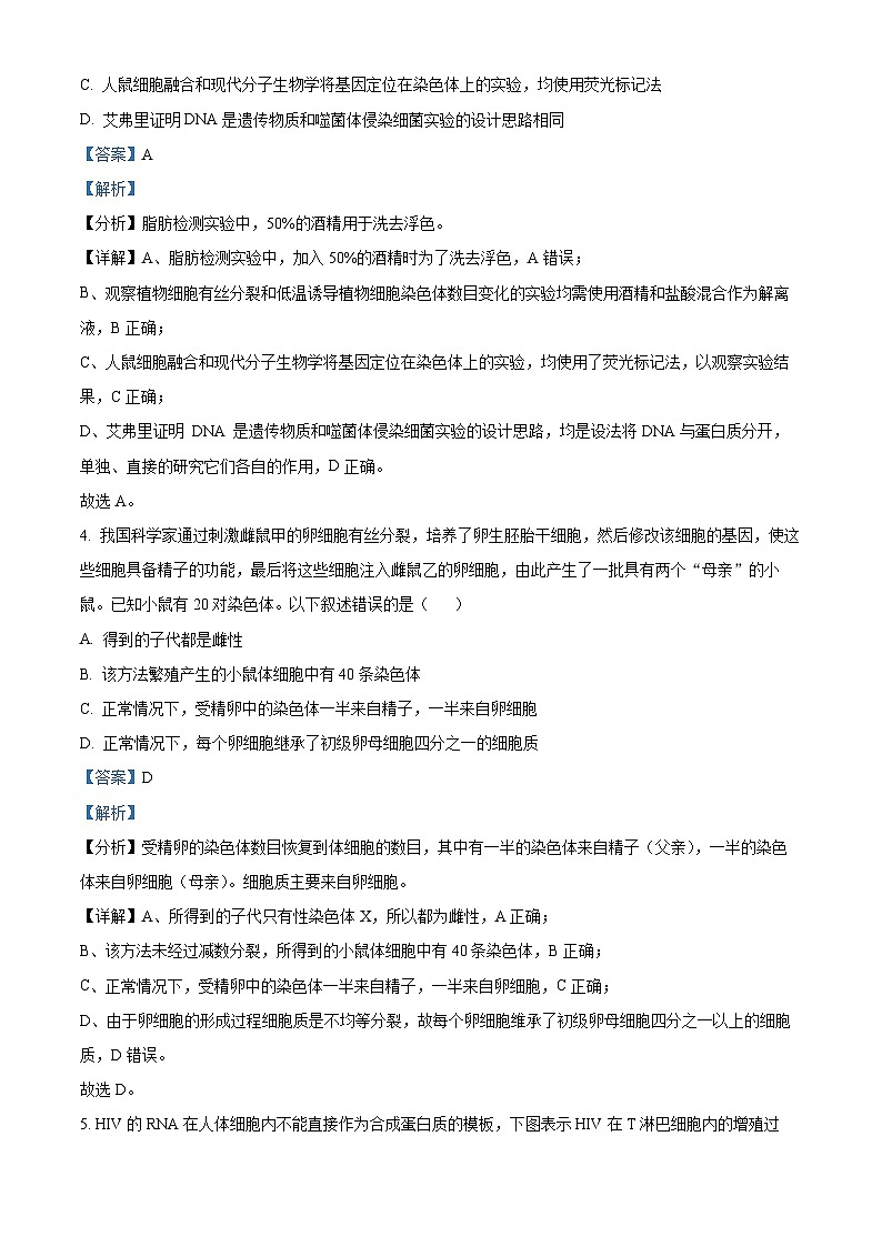 四川省内江市威远中学2024届高三下学期第一次模拟考试理综生物试题 Word版含解析第3页