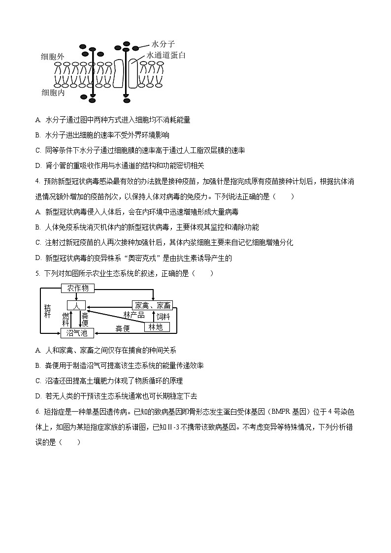 四川省成都市石室中学2024届高三下学期二诊模拟考试理综生物试题 Word版无答案第2页