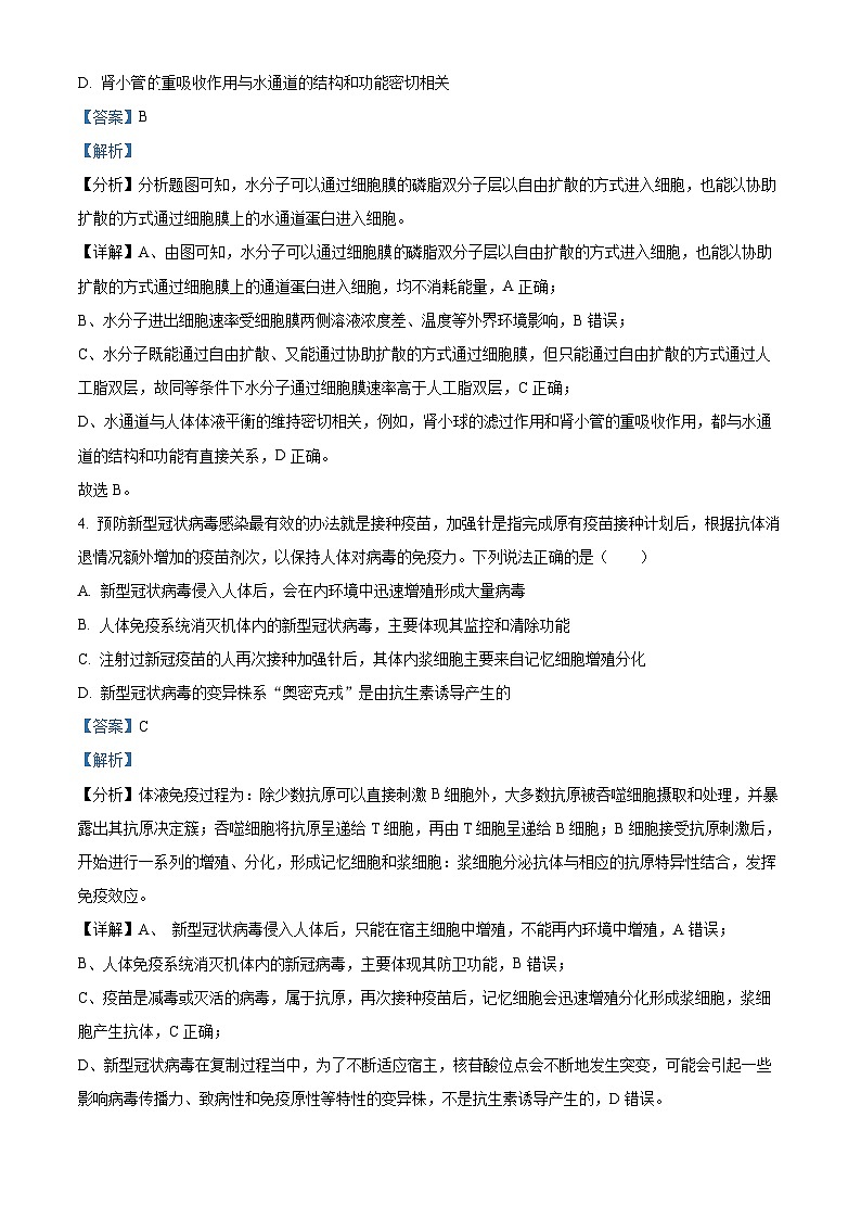 四川省成都市石室中学2024届高三下学期二诊模拟考试理综生物试题 Word版含解析第3页
