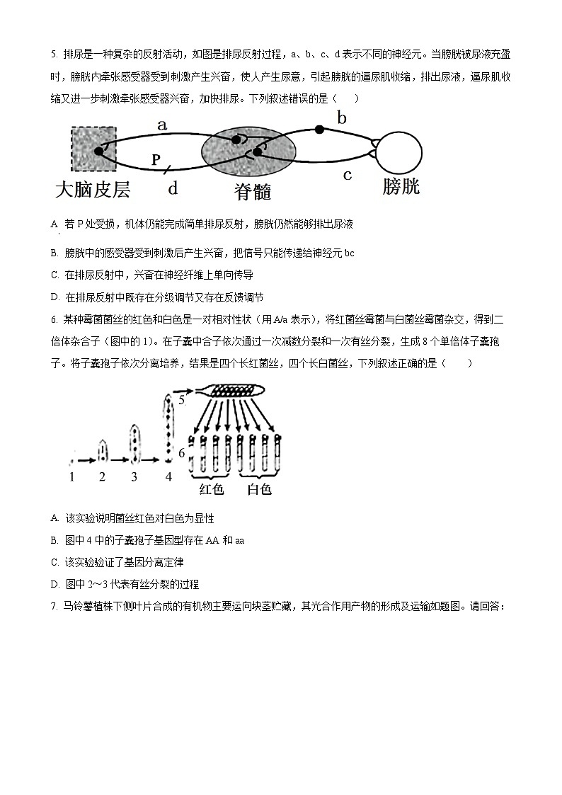 四川省成都外国语学校2023-2024学年高三上学期期末理综生物试题 Word版无答案第2页