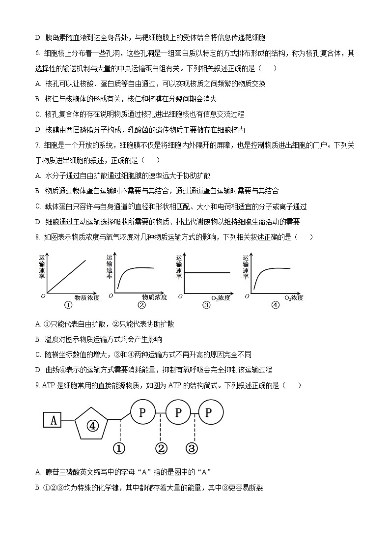 2024河南省创新联盟大联考高一下学期开学考试生物含解析02