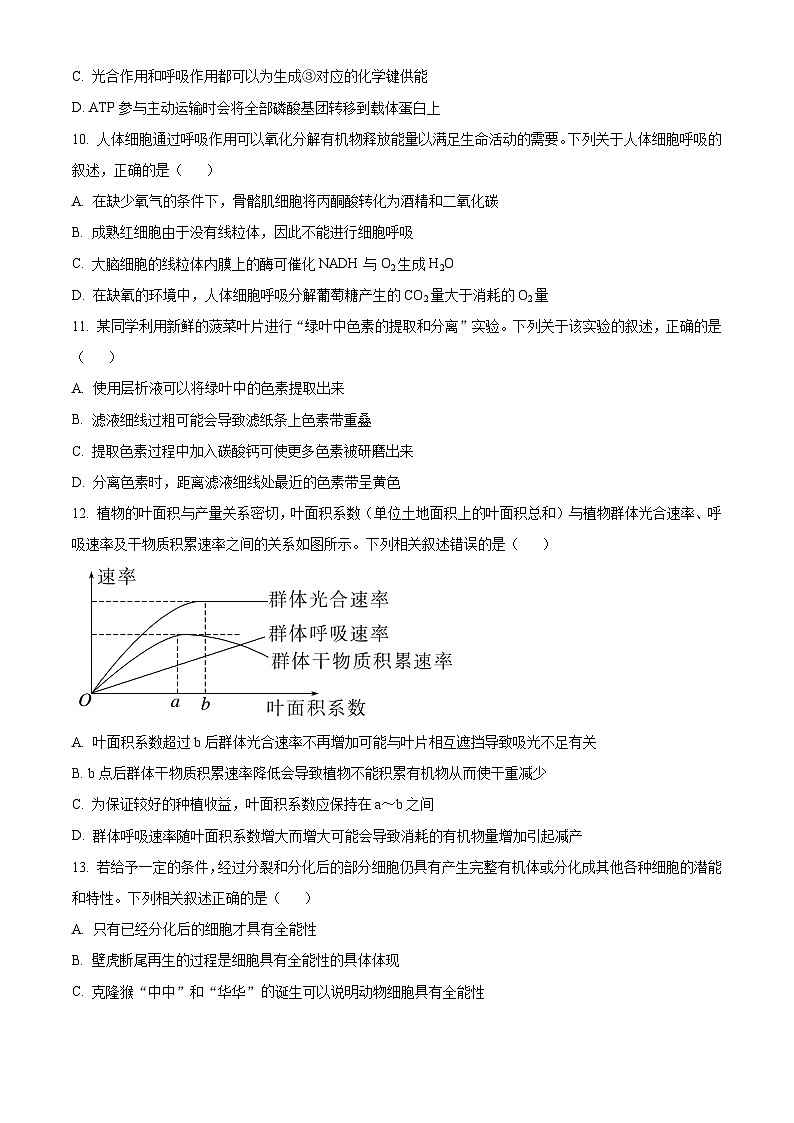 2024河南省创新联盟大联考高一下学期开学考试生物含解析03